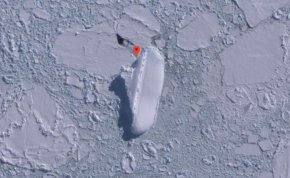Titokzatos „jéghajót” találtak az Antarktiszon? – videó