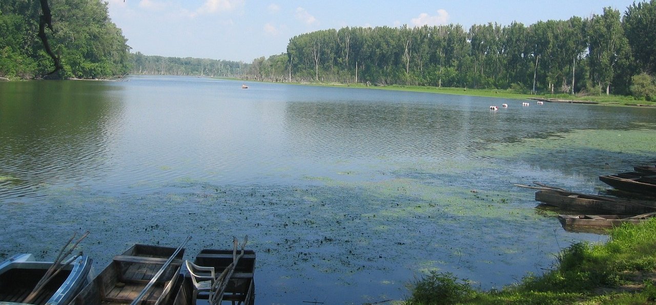 Száraz lábbal sétálhatsz az egyik magyar tó közepén – videó