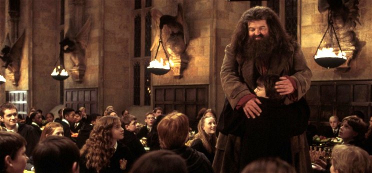 Hagrid is feltűnik a Legendás állatok folytatásában?