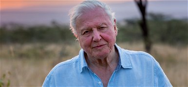 David Attenborough 94 évesen csatlakozott az Instagramhoz, hogy megmentse a Földet