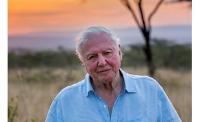 David Attenborough 94 évesen csatlakozott az Instagramhoz, hogy megmentse a Földet