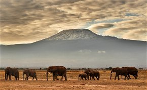 Lángokban áll Afrika legmagasabb hegye, a Kilimandzsáró – videó