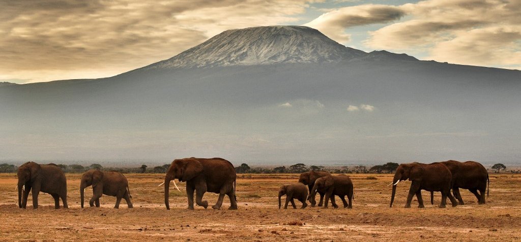 Lángokban áll Afrika legmagasabb hegye, a Kilimandzsáró – videó