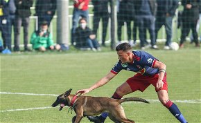 Egy kutya is pályára lépett a Vidi kupameccsén – videó