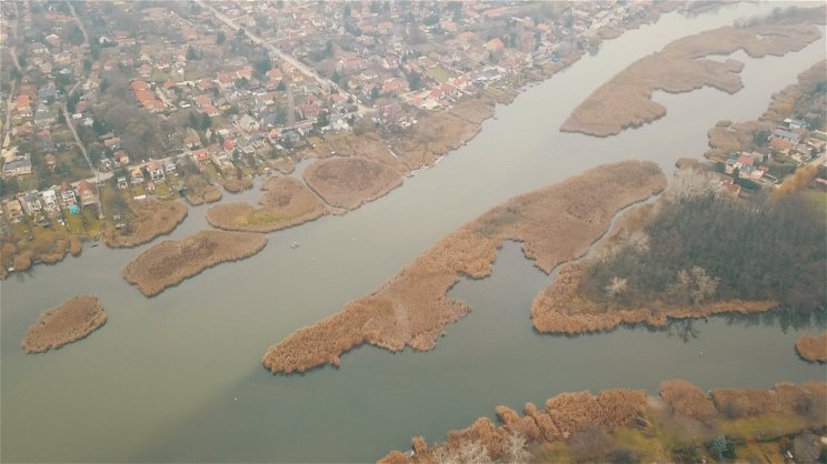 Brutális szennyezés a Dunán, 50 éve nem látott ilyet a folyó - videó