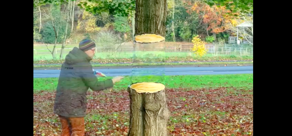Hihetetlen trükk: 3 millió lájkot kapott egy férfi, aki műanyaggal áttekert egy fát, mire az eltűnt - videó
