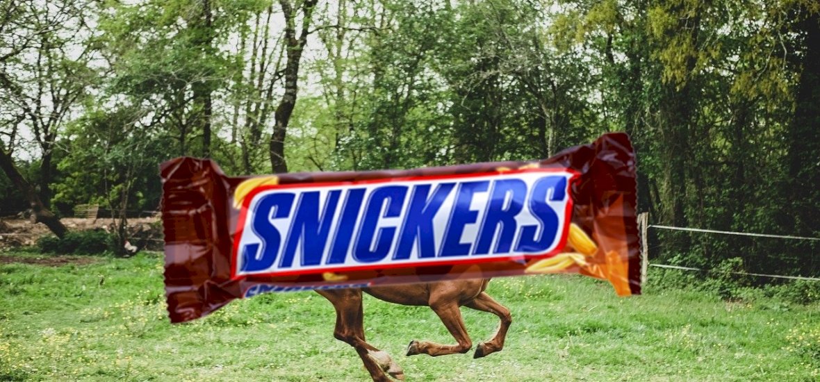 Egy állatról kapta a nevét a Snickers-csoki, erre sosem gondoltál volna