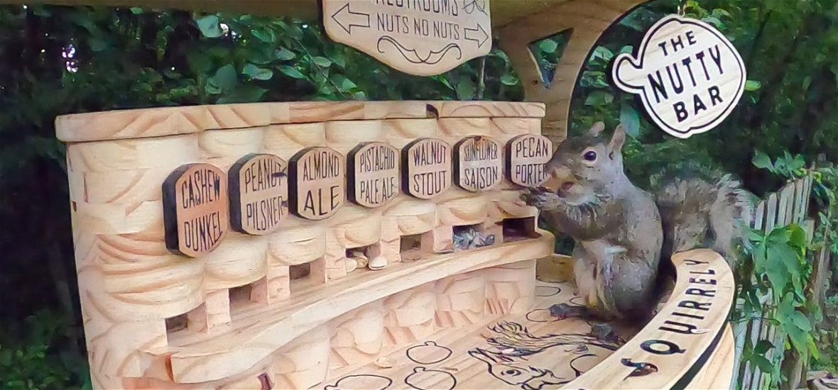 Ez a férfi éjszakai mulatót épített a mókusoknak