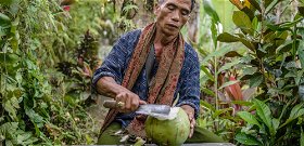 Indonéziában kókuszdióval és a levelekkel is fizethetik tandíjukat a diákok
