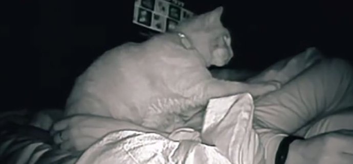 Egy nő titokban lekamerázta, mi történik körülötte a hálószobában, miközben alszik - elképesztő videó