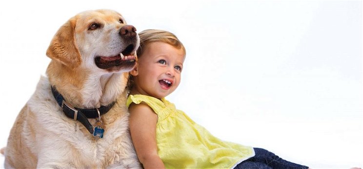 Kiderült: a kutyák összehangolják viselkedésüket a gyerekekkel