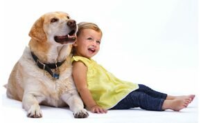Kiderült: a kutyák összehangolják viselkedésüket a gyerekekkel