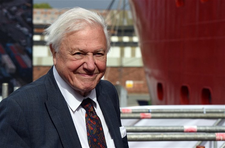 David Attenborough feje óriásira, kétméteresre nőtt az éghajlatváltozás közepette - fotó