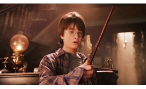 Egy allergiás reakciónak köszönhető a Harry Potter egyik legmeghatóbb jelenete