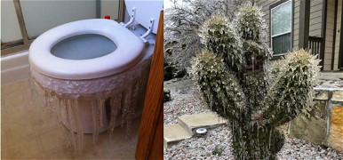 Lefagyott kaktuszok és vécék: sokkoló fotók a jégbefagyott Texasról