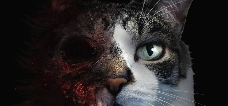 Már tesztelhető a horrorjáték, amiben egy cicával kell nyomozni - előzetes