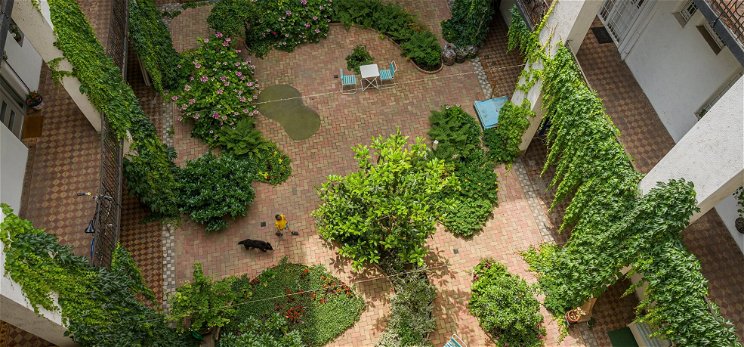 Csodálatos belső kertet alakítottak ki a lakók ebben a zuglói bérházban -fotók