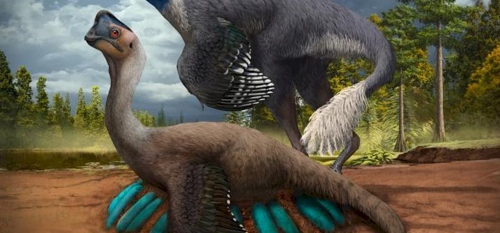 Elképesztő: ez az első ilyen dinoszaurusz maradvány a világon 
