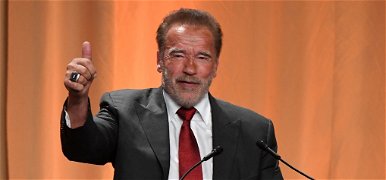 Az emberek döntöttek: Arnold Schwarzenegger kezelne legjobban egy valódi űrlény inváziót