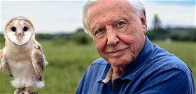 Jön David Attenborough új sorozata, a Life in Color