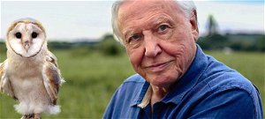 Jön David Attenborough új sorozata, a Life in Color