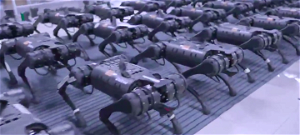 Ezek a kínai robotkutyák átveszik az uralmat? 