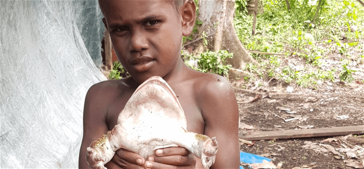 Döbbenetes fotó: emberi csecsemő méretű békát tart a kezében egy kisfiú