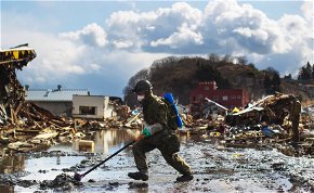 Fura állatok jelentek meg a fukusimai atomkatasztrófa környékén