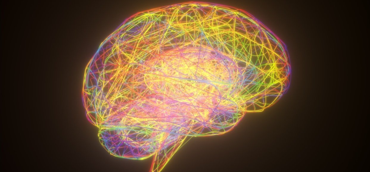 Őssejtekből növesztettek agyat a tudósok – valami hihetetlen dolog történt a kísérlet közben!