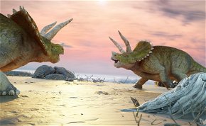 A világ legnagyobb triceratops csontváza kerül kalapács alá - videó