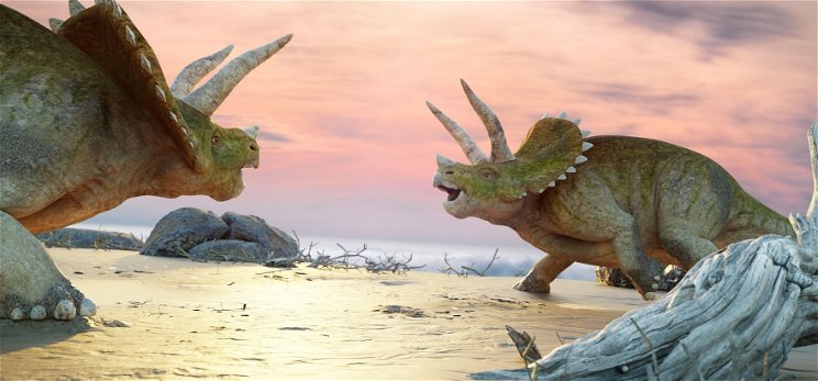A világ legnagyobb triceratops csontváza kerül kalapács alá - videó