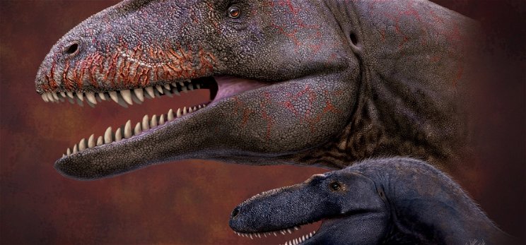 Brutális dinót találtak, amely a félelmetes T-rex őseit terrorizálta