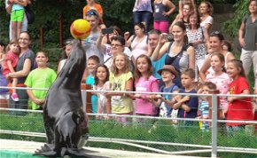 Állatok világnapja: kezdődik a háromnapos fesztivál a Fővárosi Állatkertben