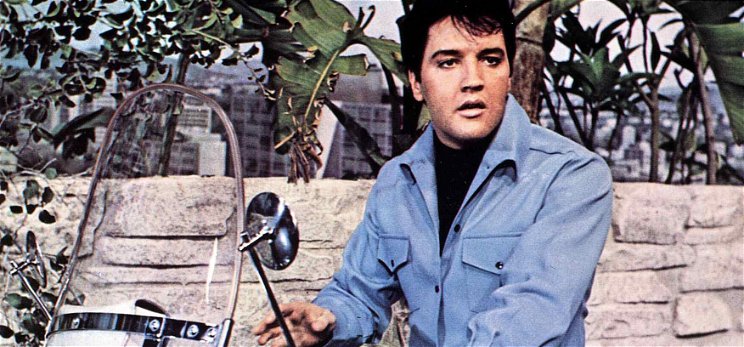 Szomorú: Elvis Presley a vécén olvasva töltötte utolsó perceit