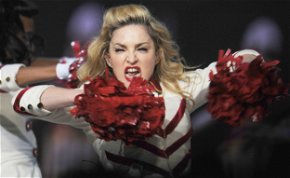 Túl messzire ment? Madonna bugyija akkor sem tudott volna elbújni, ha a díva körül van egy gigantikus erdő, több tízezer fával - fotó
