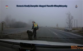 Magyar rendőröknek köszönheti életét Sajó, az elszökött kutya – videó