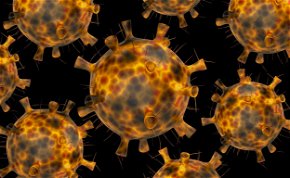 Megdöbbentő dolog derült ki a koronavírus omikron variánsáról – Igaza van a tudósoknak?