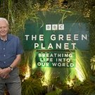 A 95 éves David Attenborough elment a sivatagba, ahol rábukkant egy döbbenetes növényre