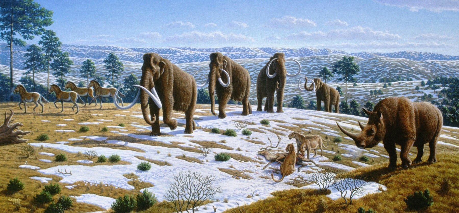 Elképesztő jelentőségű csontokat találtak - Van közte jégkorszaki mamut, gyapjas orrszarvú és hiéna is
