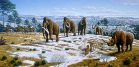 Se han encontrado huesos asombrosos, incluido un mamut de la Edad de Hielo, un rinoceronte lanudo y una hiena.