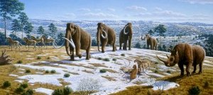 Se han encontrado huesos asombrosos, incluido un mamut de la Edad de Hielo, un rinoceronte lanudo y una hiena.