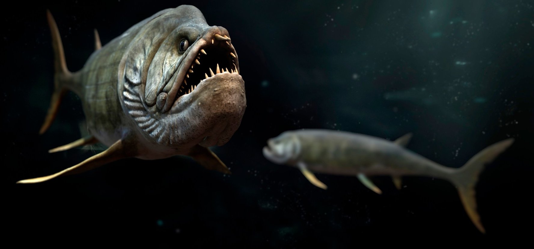 Döbbenetes emberi evolúció: félelmetes vízi szörnyetegektől származik az állkapcsunk?