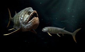 Döbbenetes emberi evolúció: félelmetes vízi szörnyetegektől származik az állkapcsunk?