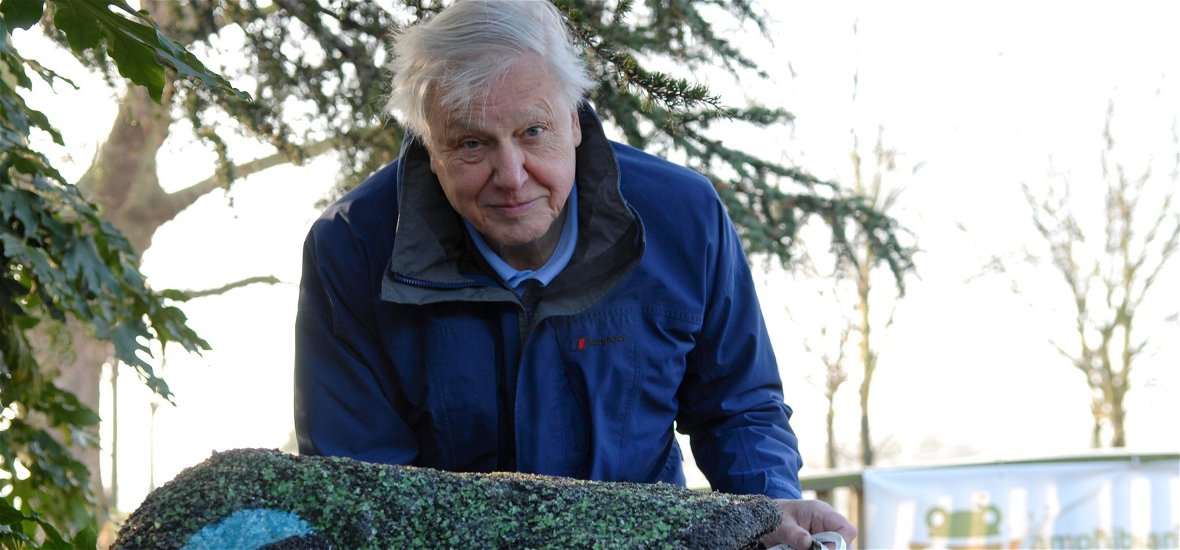 Előkapartak egy kínos történetet a feddhetetlennek tűnő David Attenborough múltjából