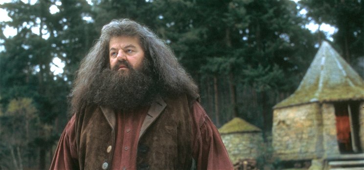 Döbbenetes változás: így néz ki 72 évesen a Harry Potter-filmek morcos óriása, Hagrid, azaz Robbie Coltrane