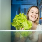 Mindössze 10 forintból megoldható, hogy hetekig friss maradjon a méregdrágán vett salátád