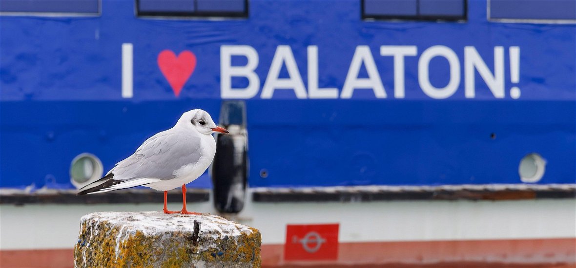 A Balatonon szeretnél nyaralni? Eléggé rossz híreket kaptak a magyarok
