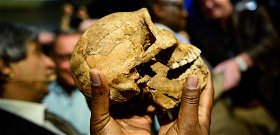 Ismeretlen, az őseinknél sokkal kisebb emberfaj csontmaradványaira bukkantak – kik lehettek ezek a törpék?