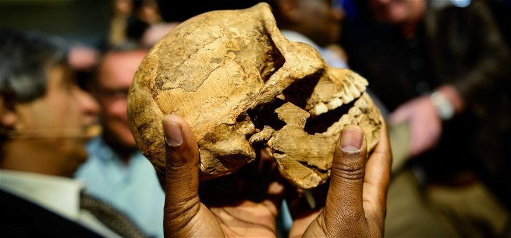 Ismeretlen, az őseinknél sokkal kisebb emberfaj csontmaradványaira bukkantak – kik lehettek ezek a törpék?