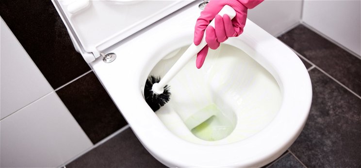 Ezt a tisztítási módszert még mindenképpen próbáld ki, mielőtt kidobnád a régi, leharcolt vécékeféd